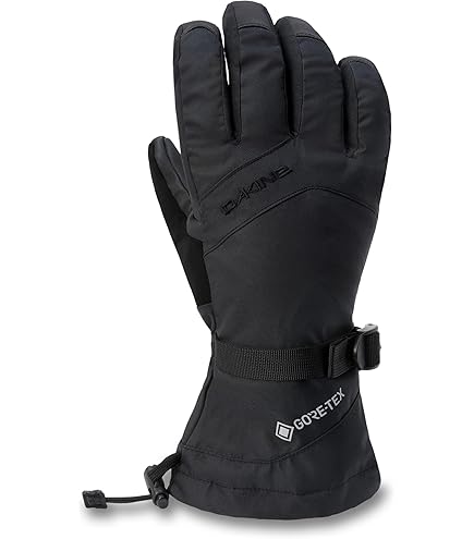 Amazon.com : Dakine Team Phoenix Gore-Tex Glove - Sammy Carlson